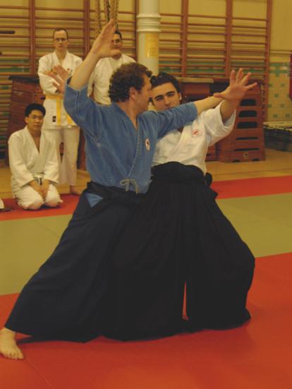 cours_aiki-jujutsu_shuto-ate_par_s-gattuso.jpg