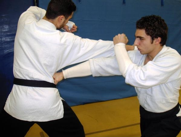 cours_ju-kenpo_1.jpg